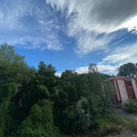 Anita A15 Family Sunny Σάνι Μπιτς