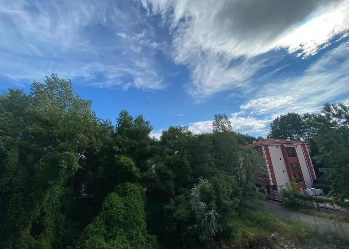 Anita A15 Family Sunny Солнечный берег